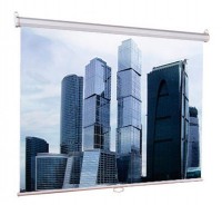 Экран Lumien Eco Picture LEP-100105