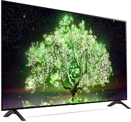 Телевизор LG OLED55A1RLA