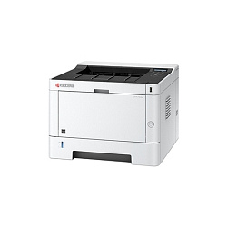 Принтер лазерный Kyocera Ecosys P2040DN (1102RX3NL0)