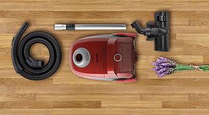 Пылесос Gorenje VC2321GPLRCY