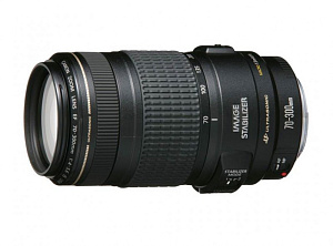 Объектив Canon EF 70-300mm f/4-5.6 IS USM (0345B006)