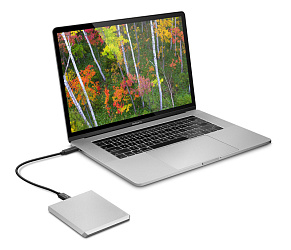Жесткий диск Lacie STHG2000400 2Tb