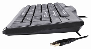 Клавиатура Oklick 170M Black USB