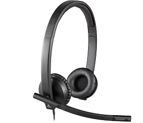 Компьютерная гарнитура Logitech USB Headset Stereo H570e (981-000575)
