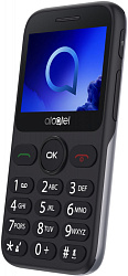 Мобильный телефон Alcatel 2019G серебристый