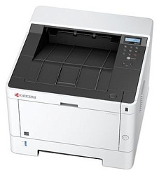 Принтер лазерный Kyocera Ecosys P2040DW (1102RY3NL0)